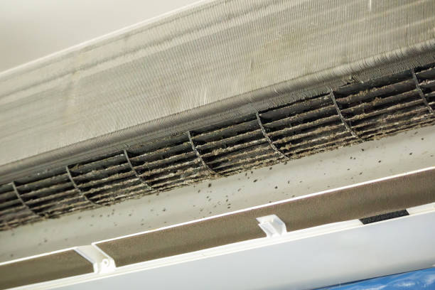 Best Affordable Duct Cleaning Services  in Barker Heights, NC